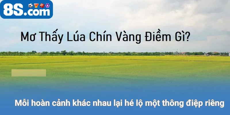 Mỗi hoàn cảnh khác nhau lại hé lộ một thông điệp riêng.