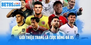 Giới Thiệu Trang Cá Cược Bóng Đá Uy Tín 8s