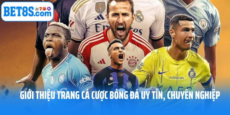 Giới thiệu trang cá cược bóng đá 8S